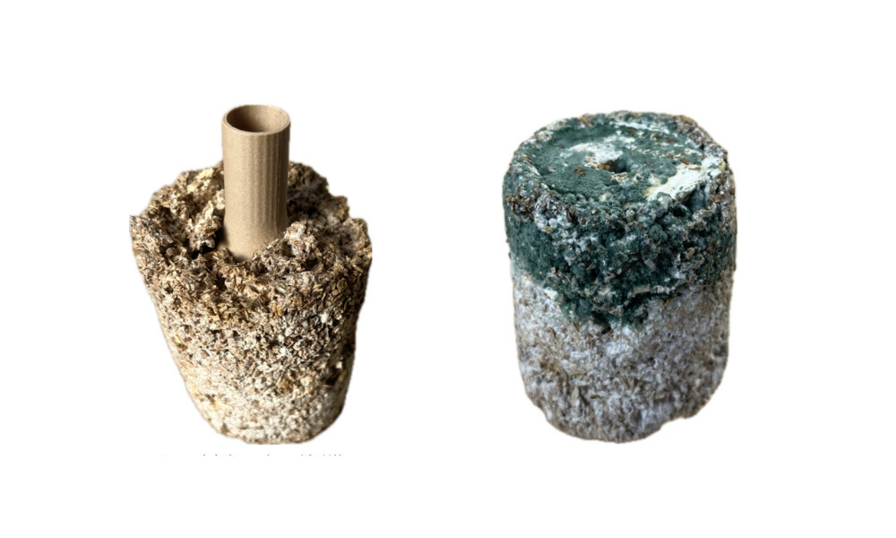 Ongoing Production of a “Growing Instrument” Using Mycelium-Based Materials